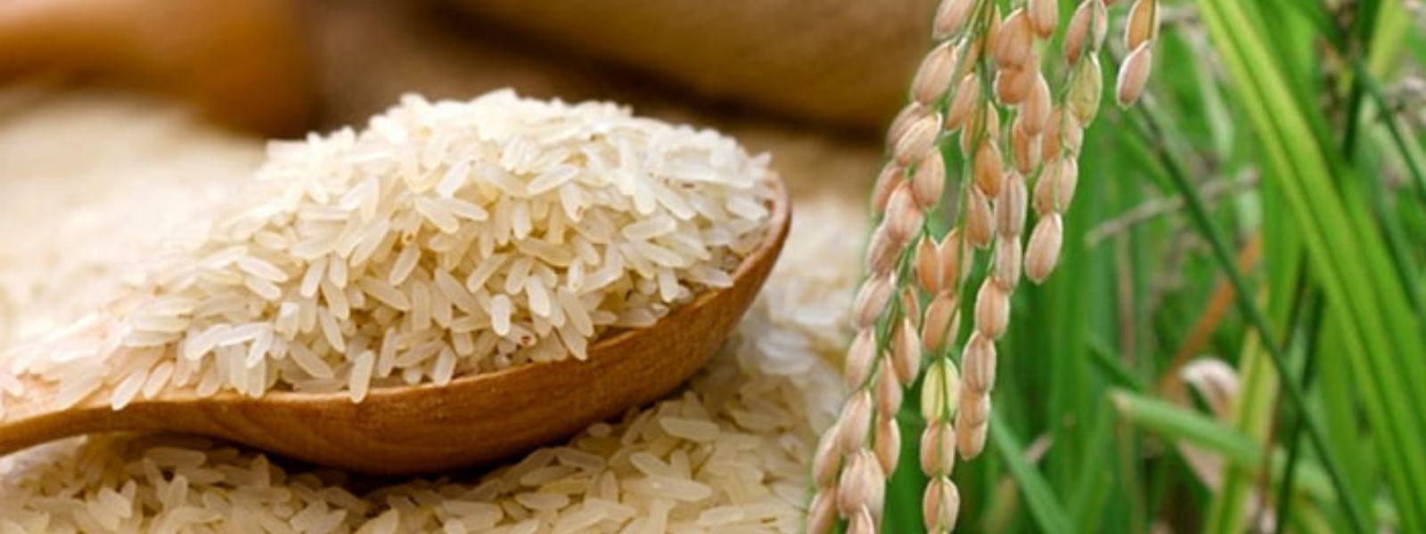 Nadu Rice Prices Exceed Control Price in Market